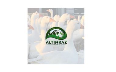 ALTINKAZ KAZ ÇİFTLİĞİ